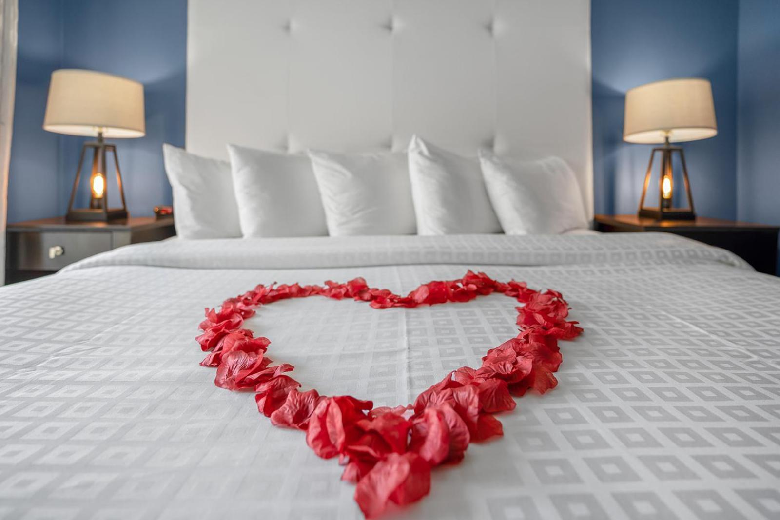 Avalon Hotel Downtown Saint Petersburg Eksteriør billede
